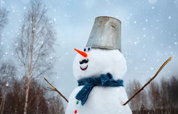 Picture winter, forest, snow, trees, branches, nature, Park, scarf, Christmas, bucket, New year, snowman, Blizzard, snowfall, …