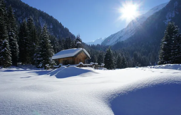 Picture winter, the sun, rays, snow, trees, landscape, mountains, nature, house, ate, Alps, hut, forest