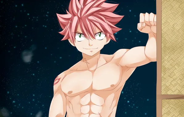 Picture guy, Fairy Tail, Natsu, Fairy tail