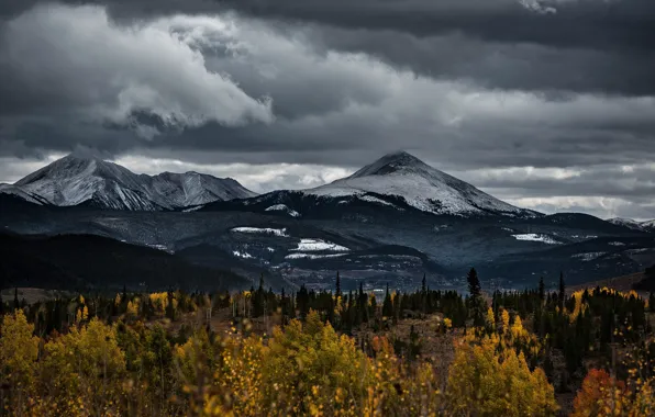 Picture autumn, forest, clouds, snow, mountains, clouds, overcast, hills, the slopes, tops, snow, gloomy sky