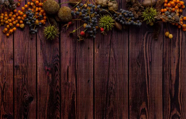 Picture autumn, berries, the dark background, Board, plants, texture, fruit, grapes, dry, nuts, wood, bumps, twigs, …