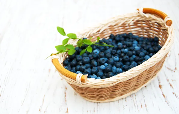 Picture berries, table, harvest, blueberries, basket, Olena Rudo