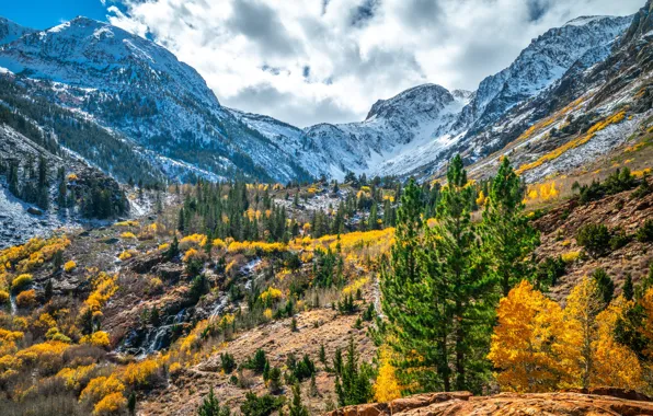 Picture autumn, mountains, CA, USA