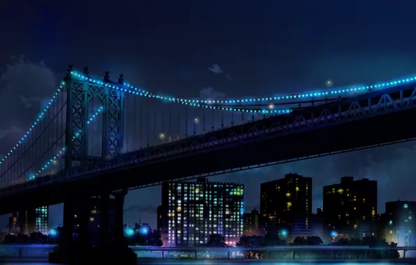 Picture water, night, bridge, the city
