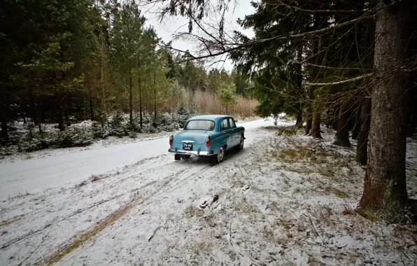 Picture winter, forest, Moskvich