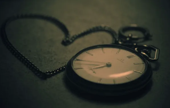 Picture Omega, Watch, Macro, Pocket watch