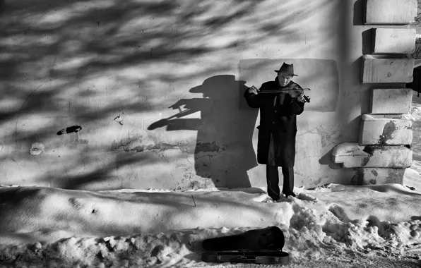 Picture wall, shadow, violinist
