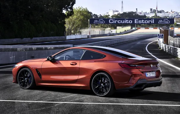 Picture coupe, BMW, Coupe, 2018, 8-Series, dark orange, M850i xDrive, Eight, G15, around the track
