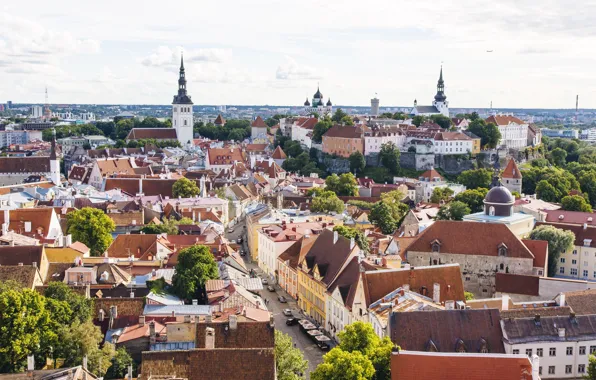 Picture building, Estonia, Tallinn, panorama