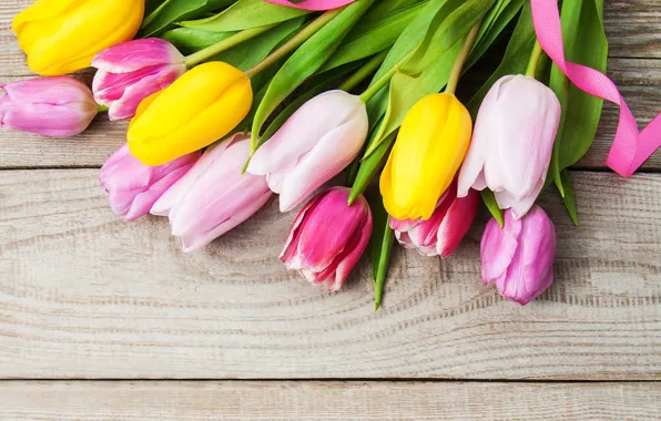 Picture colorful, tulips, pink, yellow, wood, pink, flowers, tulips