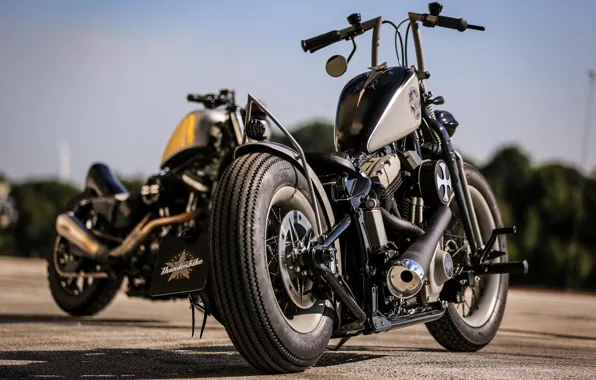 Picture Harley-Davidson, Custom, Motorcycle, Thunderbike