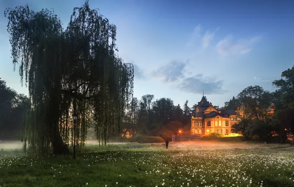 Picture landscape, nature, fog, house, tree, the evening, meadow, dandelions, mansion