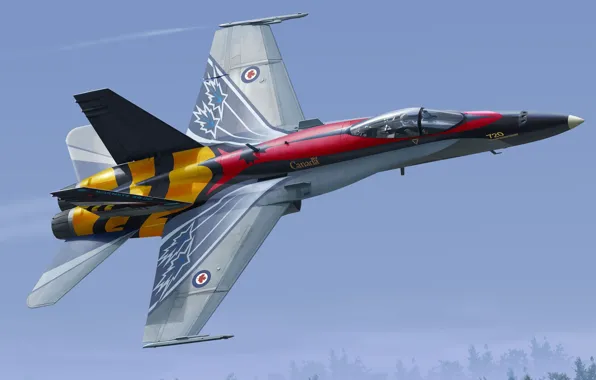 Picture fighter-bomber, Hornet, McDonnell Douglas, CF-188A, 20 Years of Service RCAF