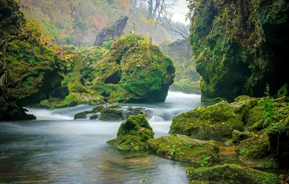 Picture stones, moss, river, Croatia, Korana River