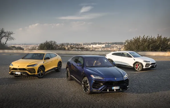 Picture the evening, Lamborghini, Italy, 2018, crossover, Urus