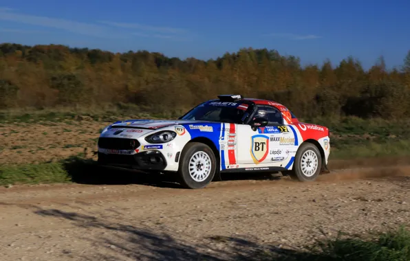 Picture field, earth, rally, 2018, Abarth, 124 Rally