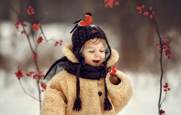 Picture winter, berries, mood, bird, boy, bullfinch, cap, coat, Елена Соловьёва