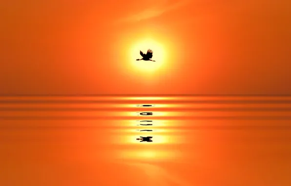 Picture sea, the sun, sunset, reflection, bird, silhouette, crane