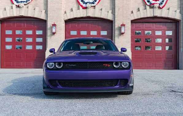 Picture Dodge, Challenger, front view, Widebody, Scat Pack, Challenger RT, 2019