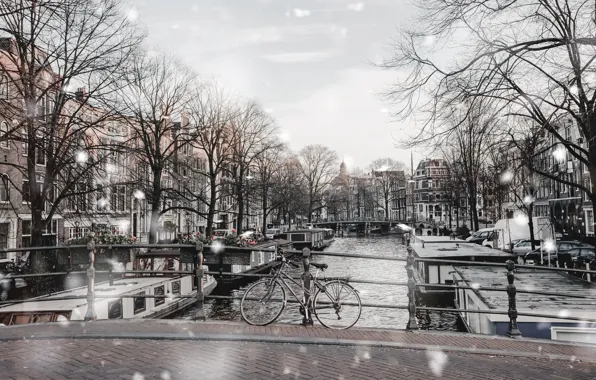 Picture trees, bridge, river, street, Winter, Snow, Amsterdam