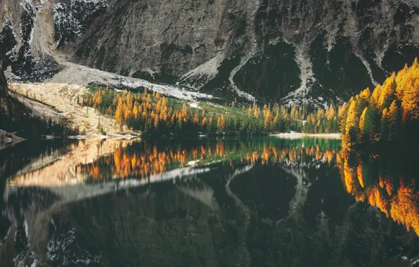 Picture autumn, forest, snow, mountains, lake, reflection, rocks, shore, pond, mirror, larch