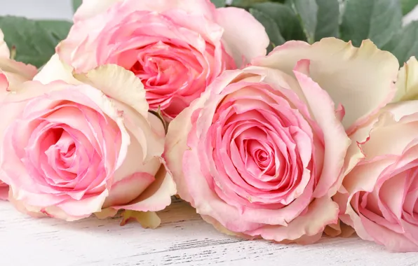 Picture flowers, bouquet, gentle, pink, Andrey Cherkasov
