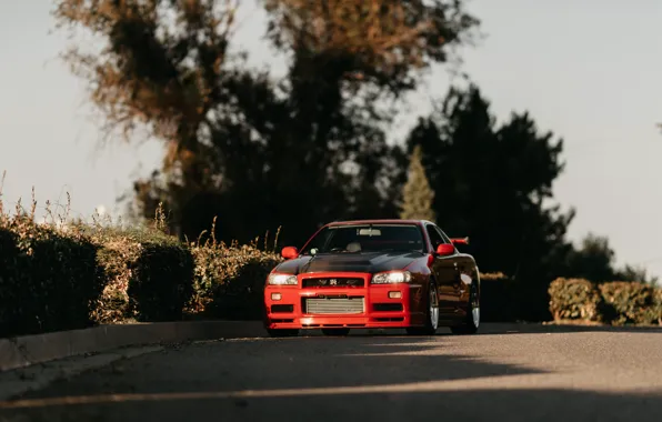 Picture GT-R, Skyline, Shadow, R34, Road, Trees
