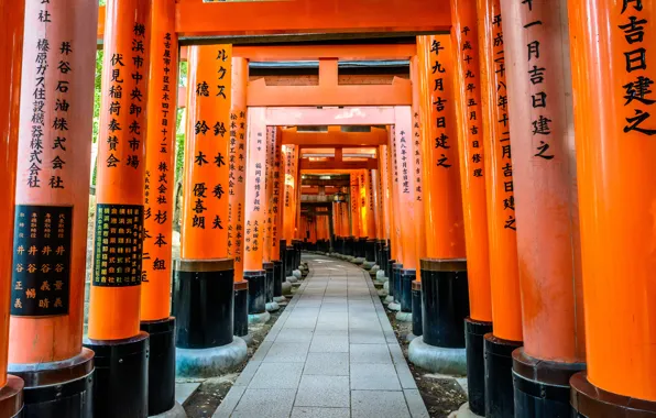 Picture Road, Japan, Temple, Kyoto, Characters, Torii, Fushimi Inari Shrine