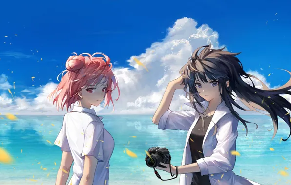 Picture summer, girls, the ocean, the camera, Oregairu, Pink Time Of My School Life A Fraud