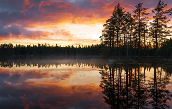Picture Tampere, Orivesi, lake whitefish lake, Lauttakulma