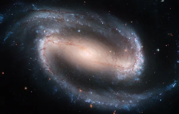Picture Hubble, Spiral galaxy with a jumper, NGC 1300