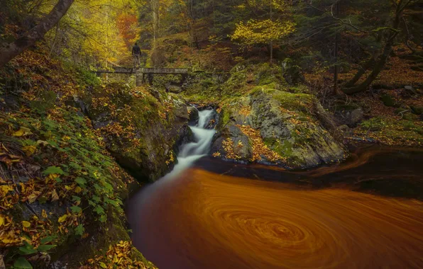 Picture autumn, forest, water, nature, stones, the bridge, Edie Adams