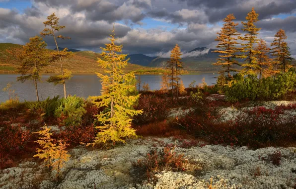 Picture autumn, clouds, trees, landscape, mountains, nature, vegetation, shrubs, Kolyma, Maxim Evdokimov, the lake of Jack …