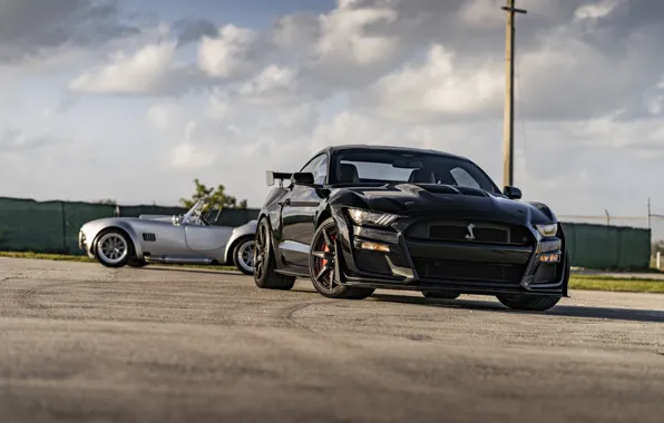 Picture Mustang, Ford, Shelby, GT500, Cobra, Silver, Duet