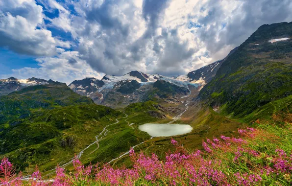 Picture summer, flowers, mountains, lake, hills, the slopes, view, Alps, pink, Ivan-tea, fireweed