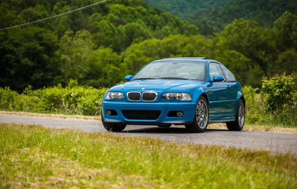 Picture Blue, E46, Forest