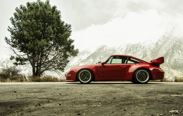 Picture red, tree, coupe, 911, Porsche, 993, in profile, 2017, Gunther Plant, 400R Coupe