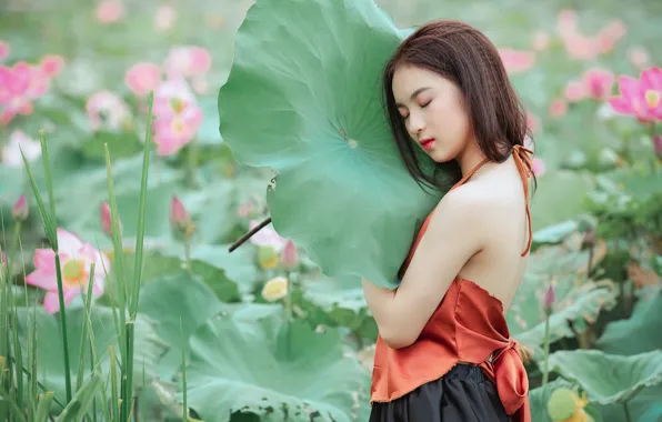 Picture leaves, girl, flowers, leaf, Asian, Lotus, shoulders, closed eyes