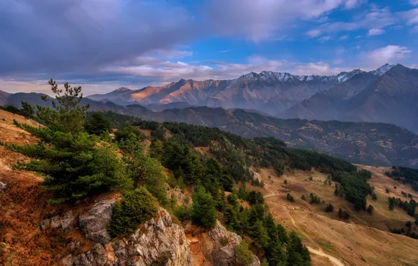 Picture landscape, mountains, nature, vegetation, reserve, Ingushetia, Erza, Юлия Шумляева