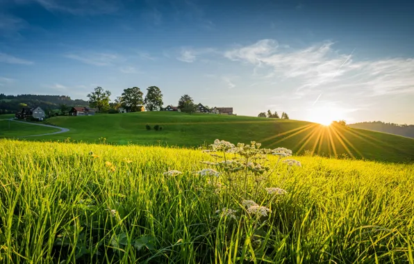Picture road, greens, field, the sky, grass, the sun, rays, trees, Switzerland, meadow, houses