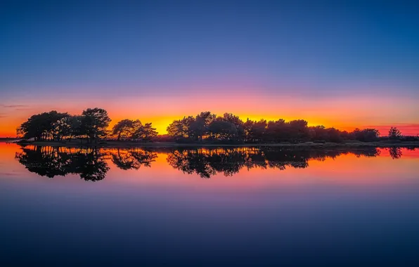 Picture trees, sunset, lake, reflection, England