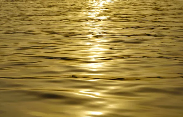 Picture the sun, sunset, Water
