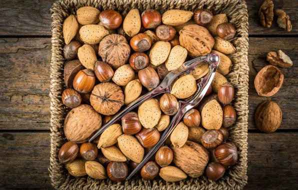 Picture basket, nuts, walnut