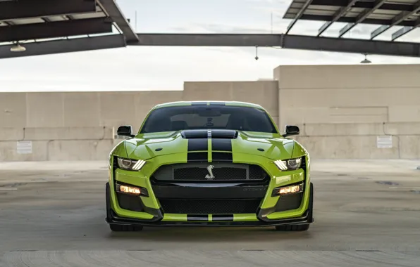 Picture Mustang, Ford, GT500, Green, Front, Face, Roof