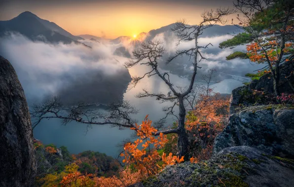 Picture autumn, the sky, mountains, fog, tree, rocks, foliage, view, height, haze, pine, South Korea