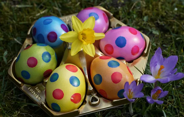 Picture grass, flowers, holiday, glade, eggs, spring, Easter, crocuses, colorful, painting, stand, Narcissus, painted, polka dot