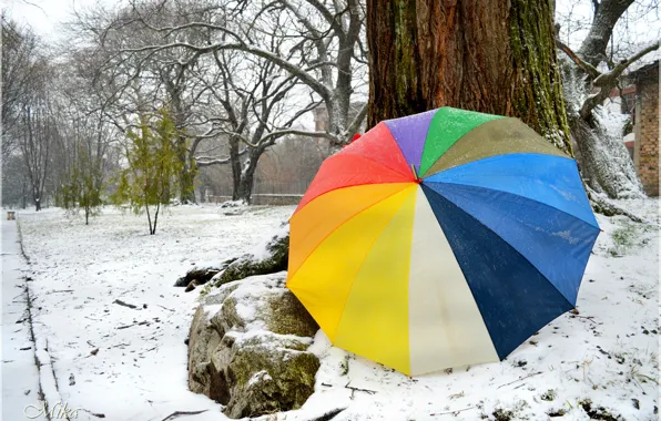 Picture Winter, Snow, Umbrella, Winter, Snow, Umbrella