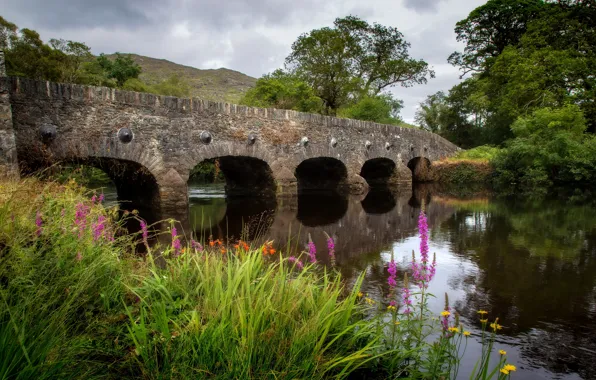 Picture greens, summer, grass, trees, flowers, bridge, river, shore, channel, arch, pond, stone, Ivan-tea, arched, fireweed