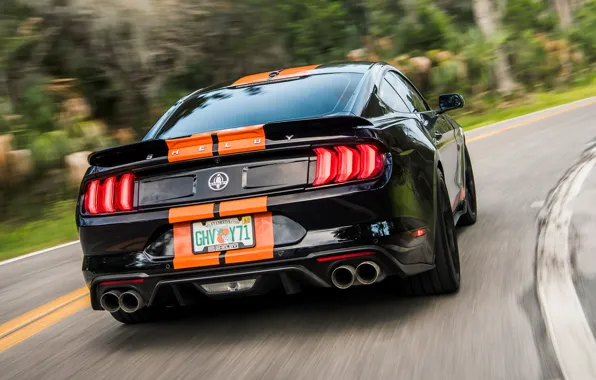 Picture speed, Mustang, Ford, Shelby, rear view, GT-S, 2019
