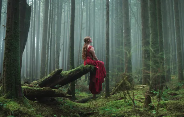 Picture forest, girl, sitting, red dress